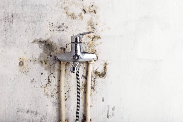 Best Water Damage Restoration  in Manchester, IA