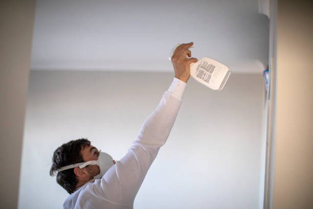 Best Home Mold Removal  in Manchester, IA