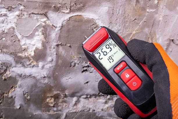 Best Water Damage Restoration  in Manchester, IA