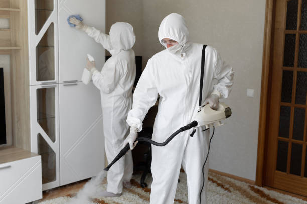 Best Mold Removal and Inspection  in Manchester, IA