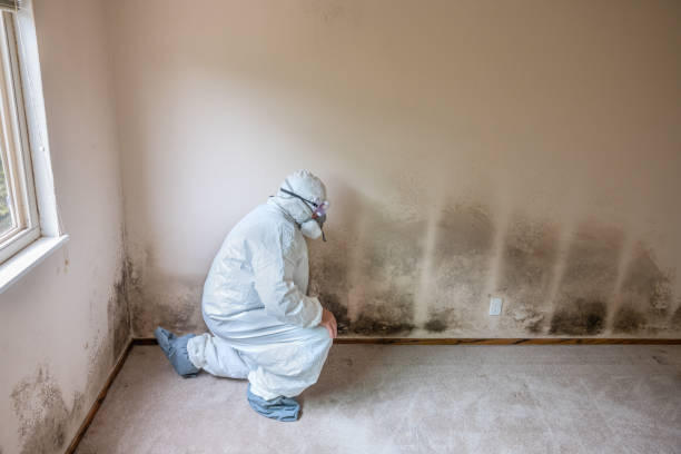 Best Mold Testing  in Manchester, IA