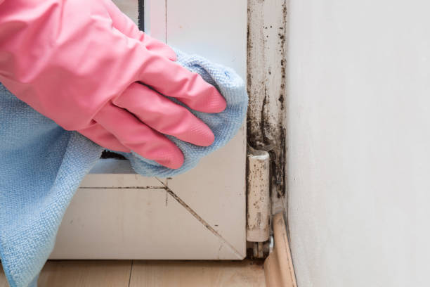 Water Damage Restoration in Manchester, IA